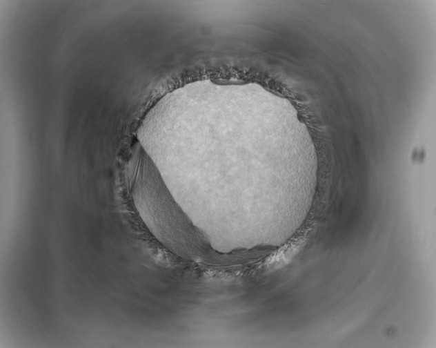 X0000099230192200805221844