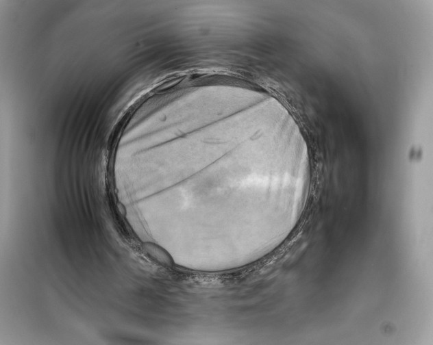 X0000099230194200805221843