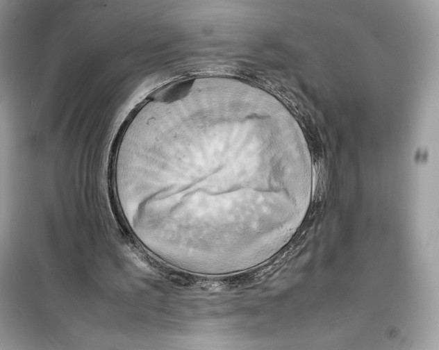 X0000099230195200805221843