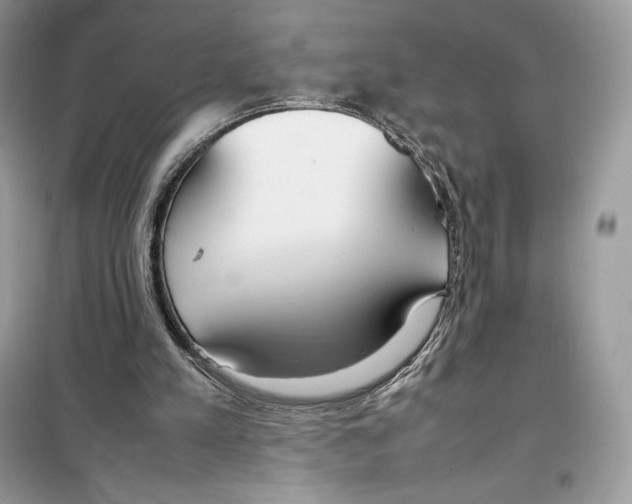 X0000099230197200805221843