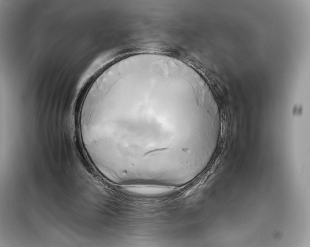 X0000099230198200805221843