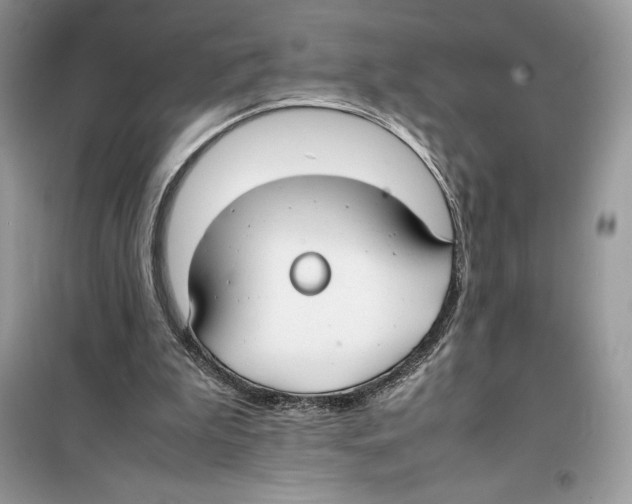 X0000099230199200805221843