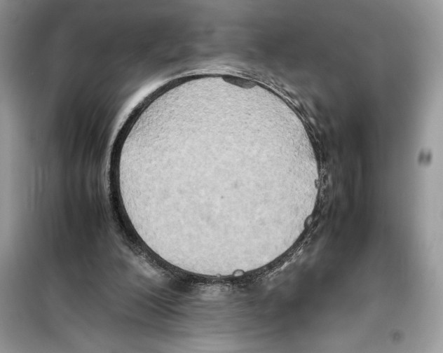 X0000099230200200805221843