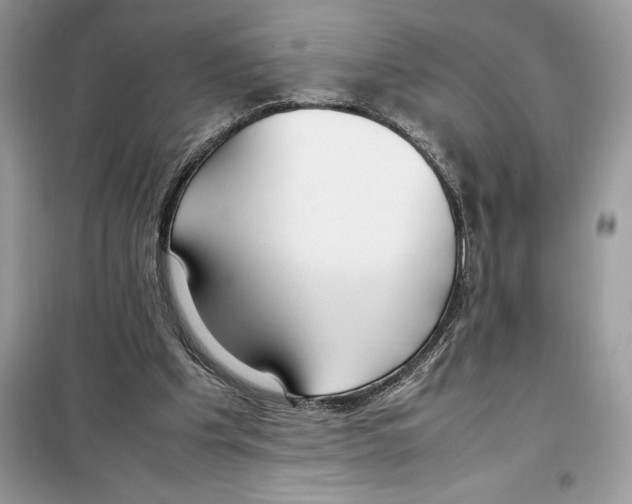 X0000099230201200805221843