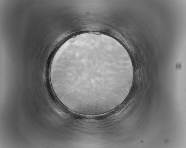 X0000099230203200805221843