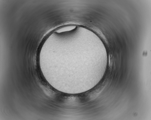 X0000099230204200805221843