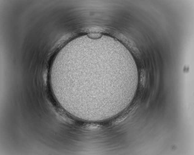 X0000099230206200805221843