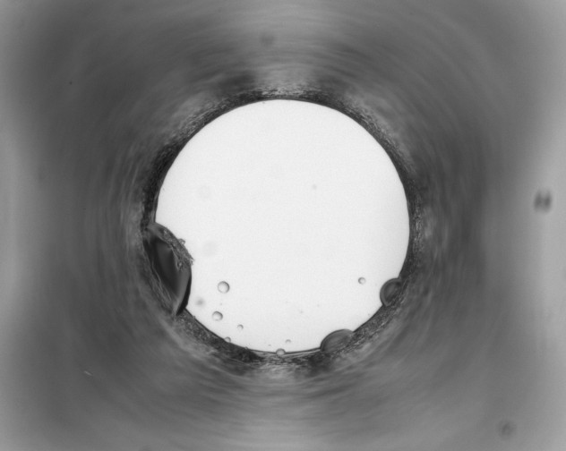 X0000099230209200805221843