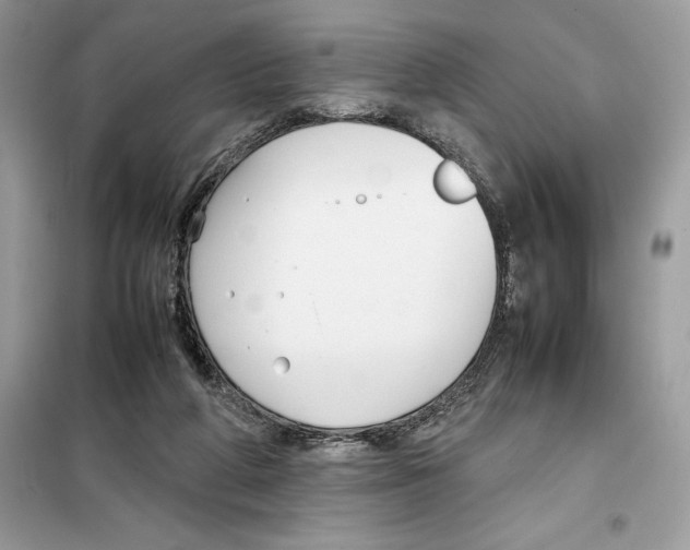 X0000099230210200805221843