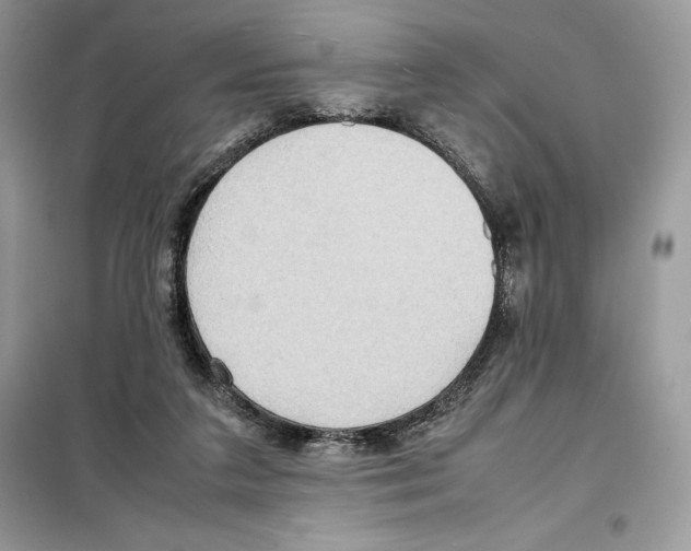 X0000099230211200805221843