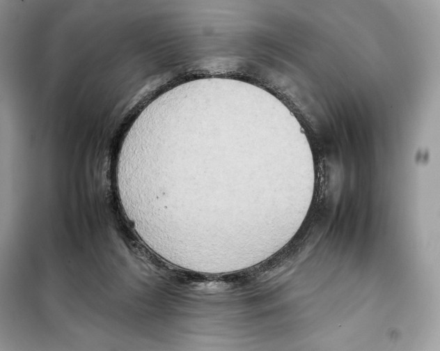 X0000099230212200805221843