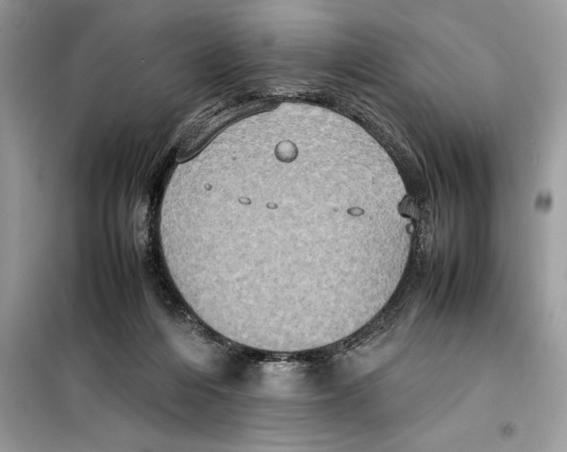 X0000099230216200805221843