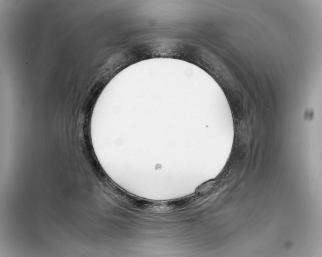 X0000099230217200805221843