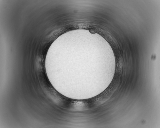 X0000099230218200805221843