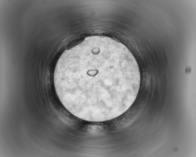 X0000099230220200805221843