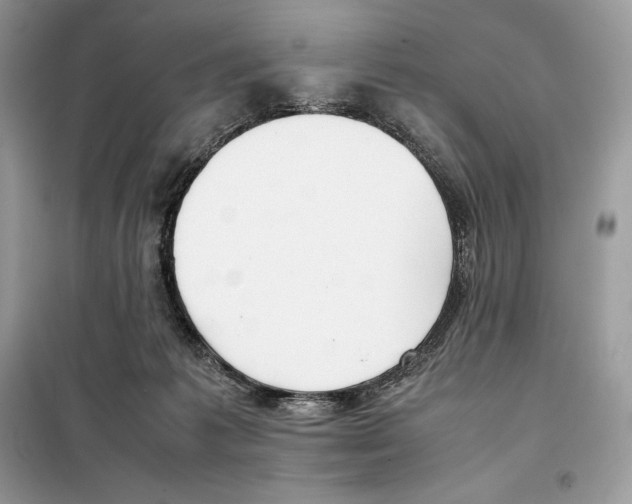 X0000099230221200805221843