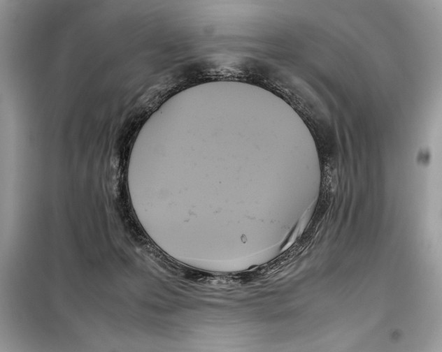 X0000099230223200805221843