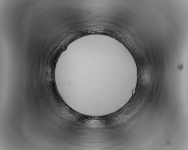 X0000099230224200805221843