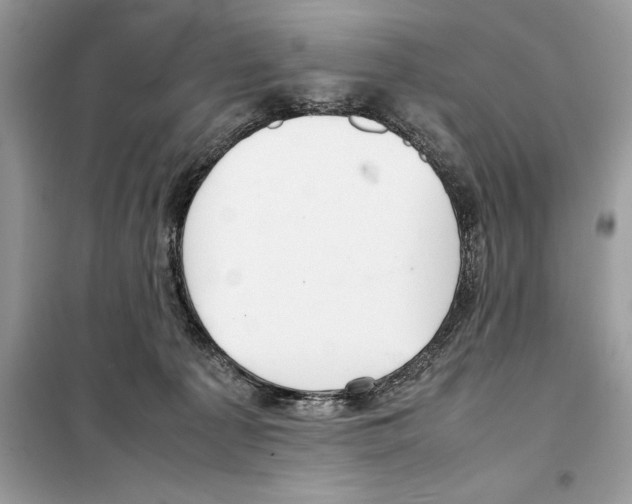 X0000099230225200805221843