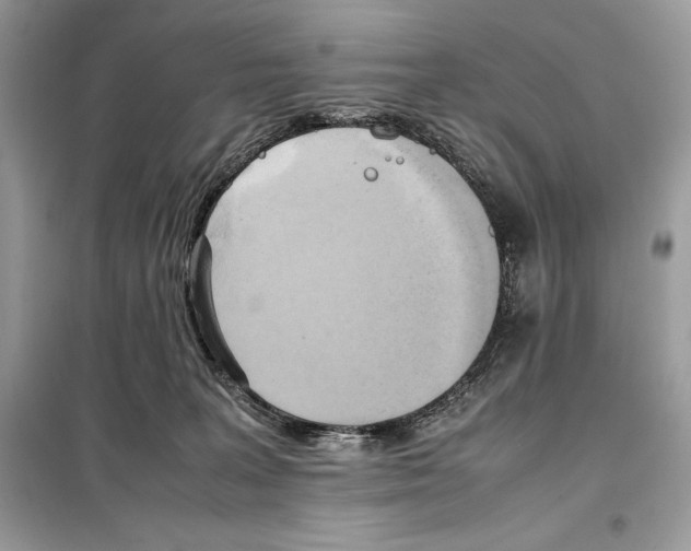 X0000099230227200805221843