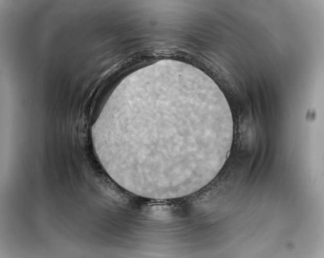 X0000099230228200805221843