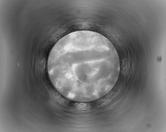 X0000099230230200805221843