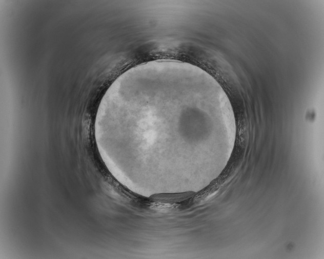 X0000099230231200805221843