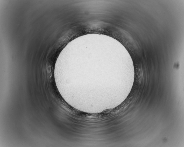 X0000099230232200805221843