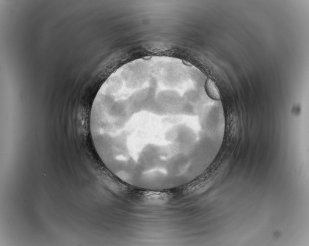 X0000099230234200805221843