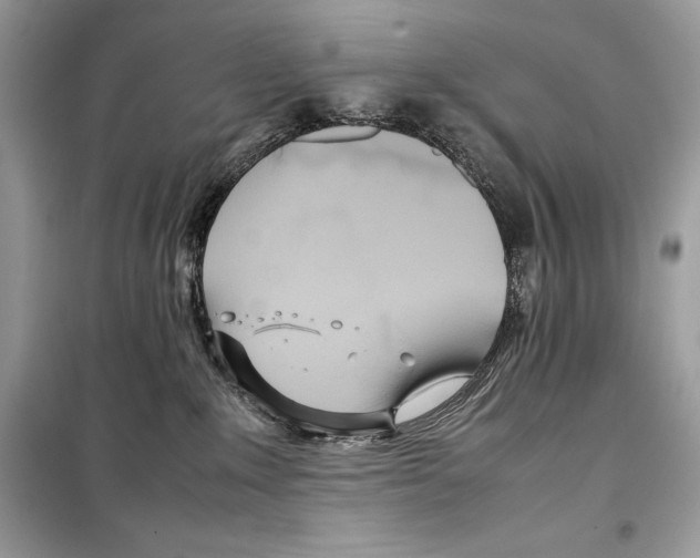 X0000099230235200805221843