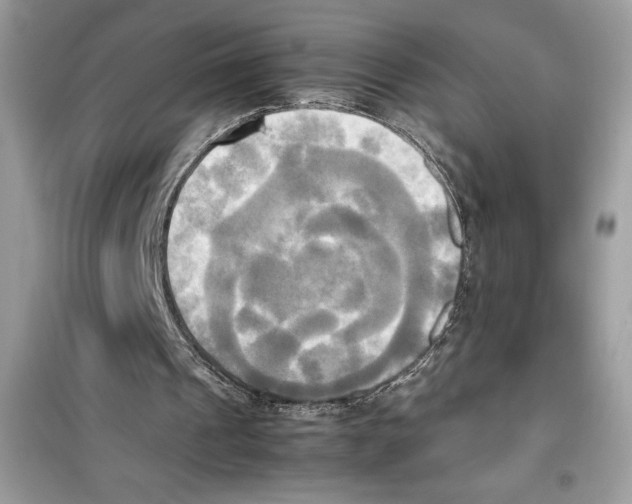 X0000099230241200805221842