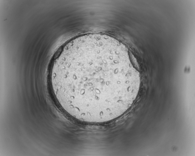 X0000099230242200805221842
