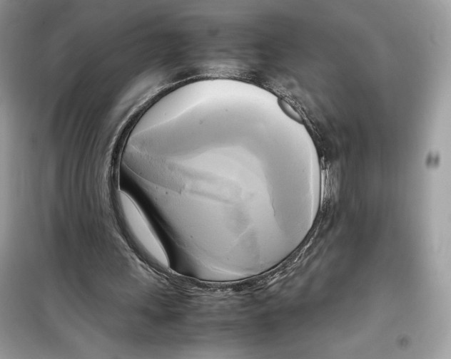 X0000099230243200805221842