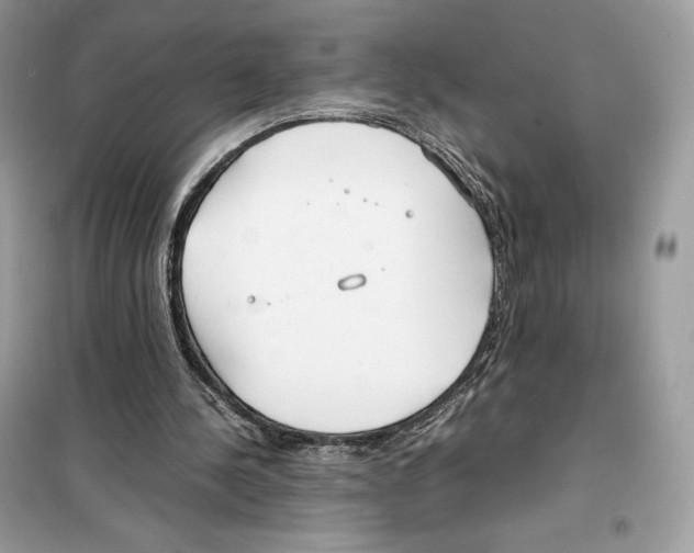 X0000099230244200805221842