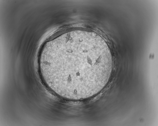 X0000099230245200805221842