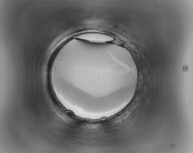 X0000099230247200805221842