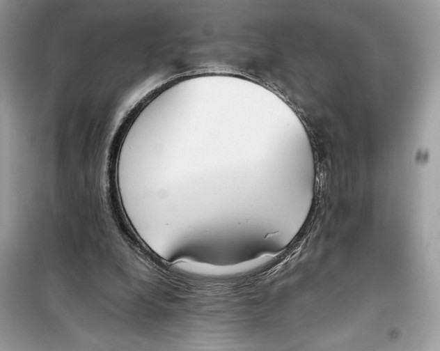 X0000099230248200805221842