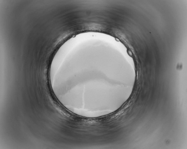 X0000099230249200805221842