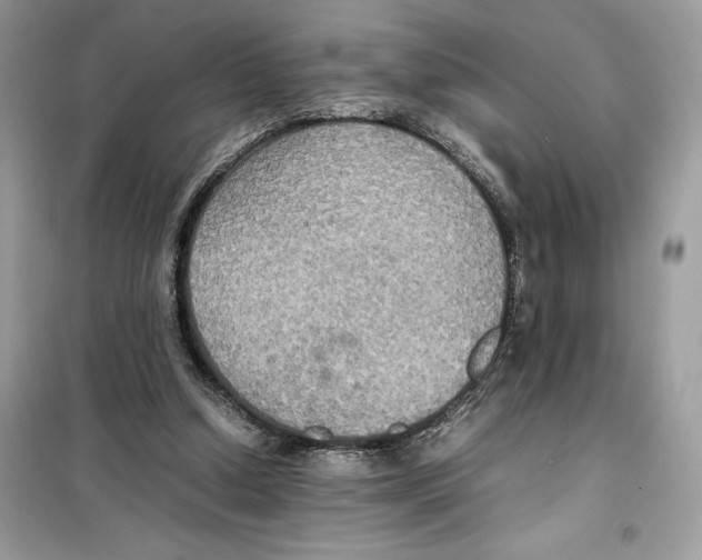 X0000099230250200805221842