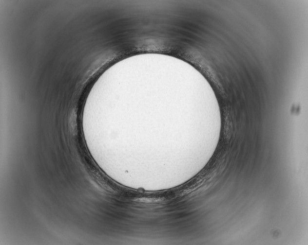 X0000099230251200805221842