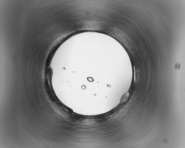 X0000099230252200805221842