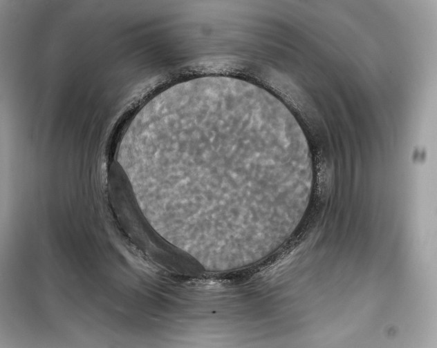 X0000099230254200805221842