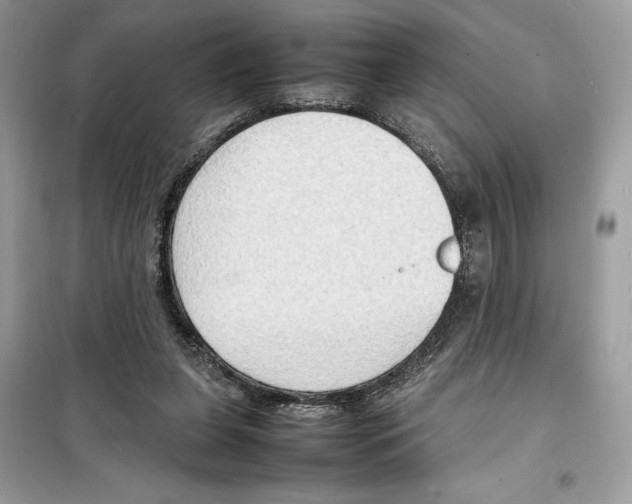 X0000099230255200805221842