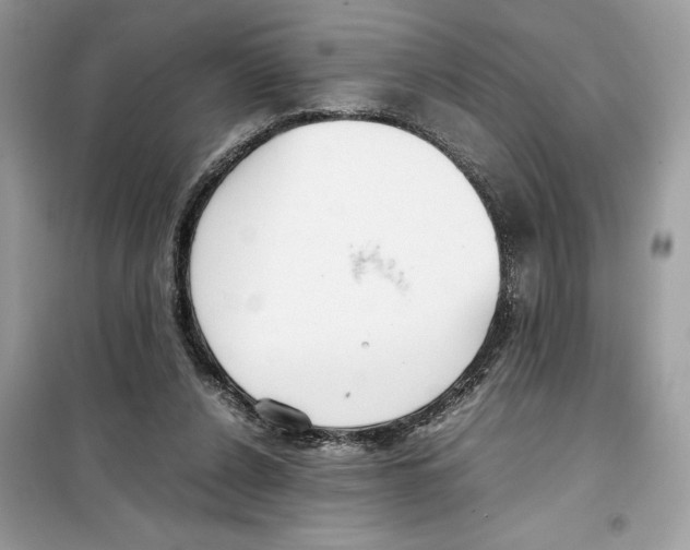 X0000099230256200805221842