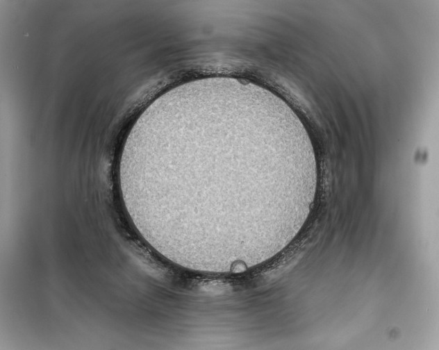 X0000099230258200805221842