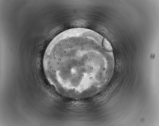 X0000099230259200805221842