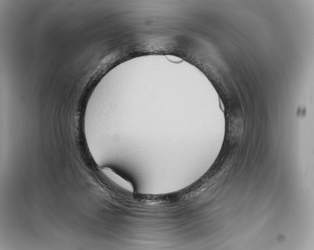 X0000099230260200805221842