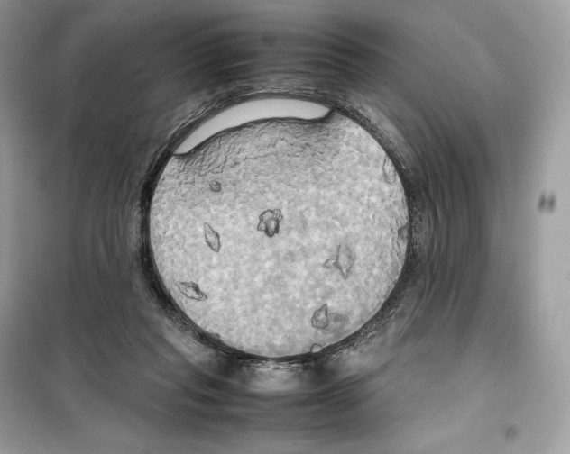 X0000099230261200805221842