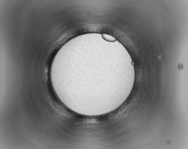 X0000099230262200805221842