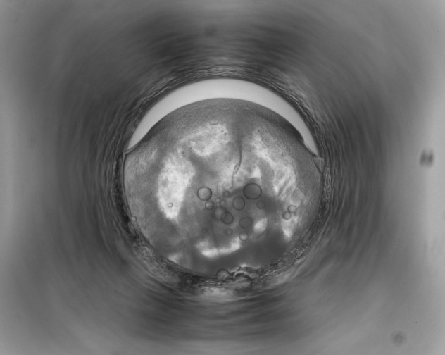 X0000099230263200805221842